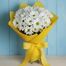 Букет цветов из:  Хризантемы в Аркуле