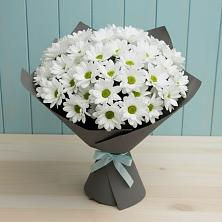 Букет цветов из:  Хризантемы в Аркуле