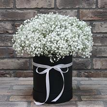 Цветочная композиция из Гипсофила в шляпной коробке в Аркуле